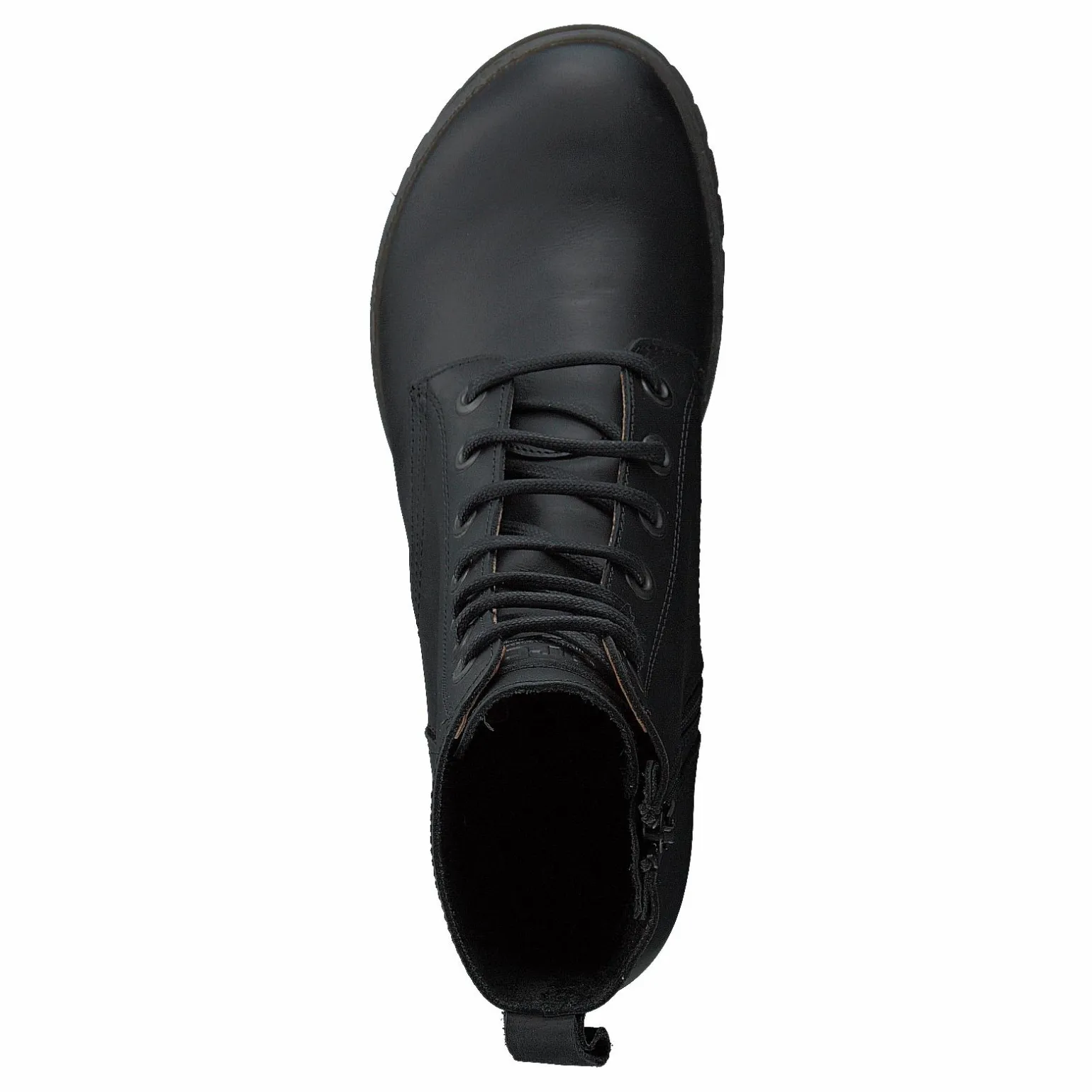 1237 Camden Grass Black