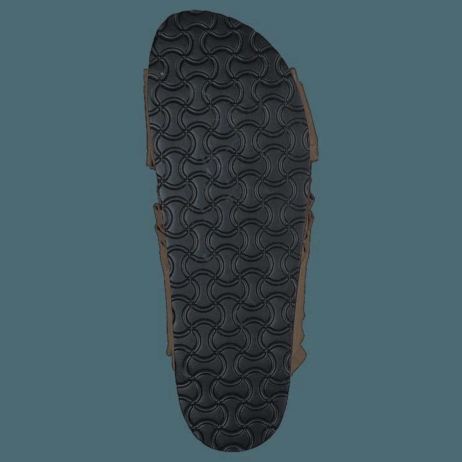 86-33005 Camel