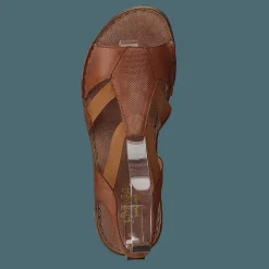 483-2512 Cognac