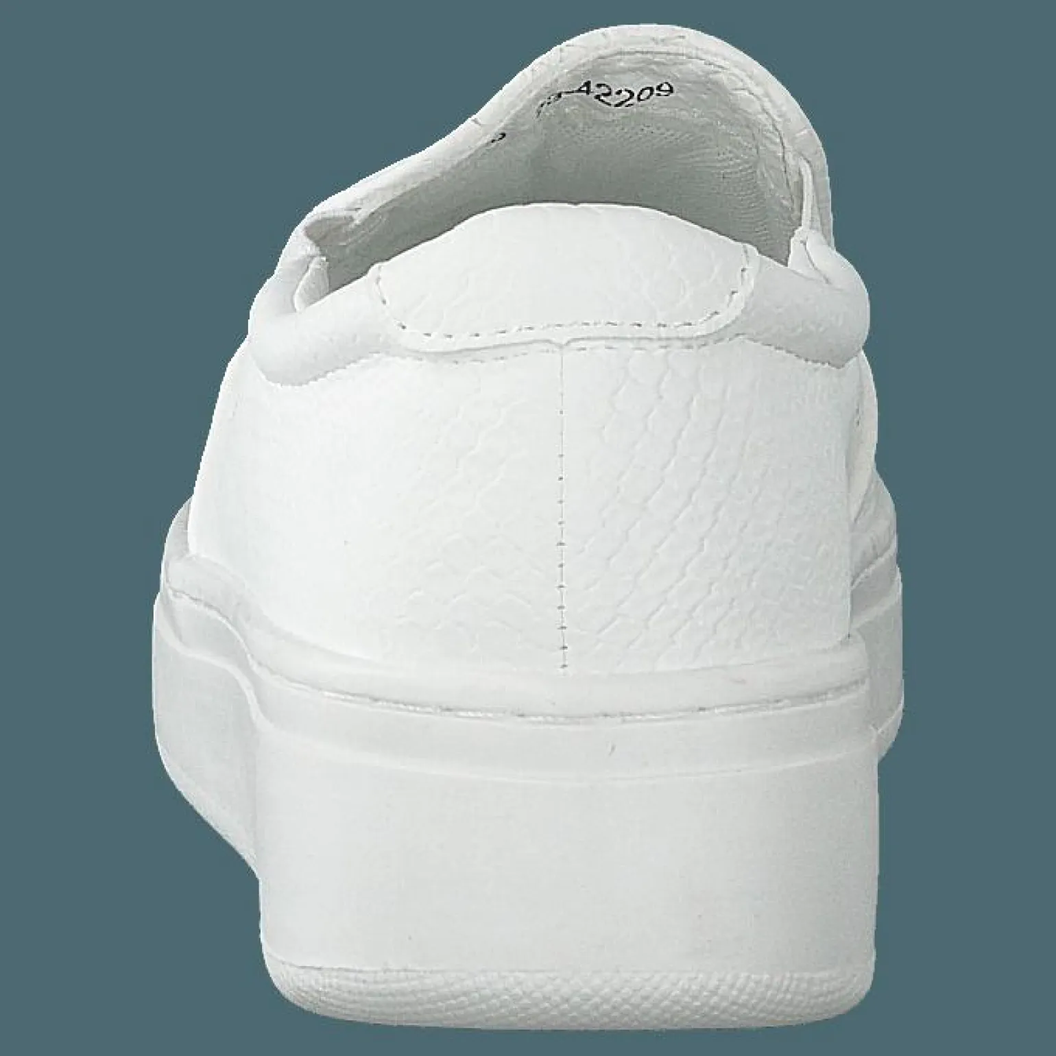 73-42209 White