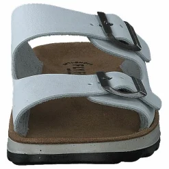 484-7764 White