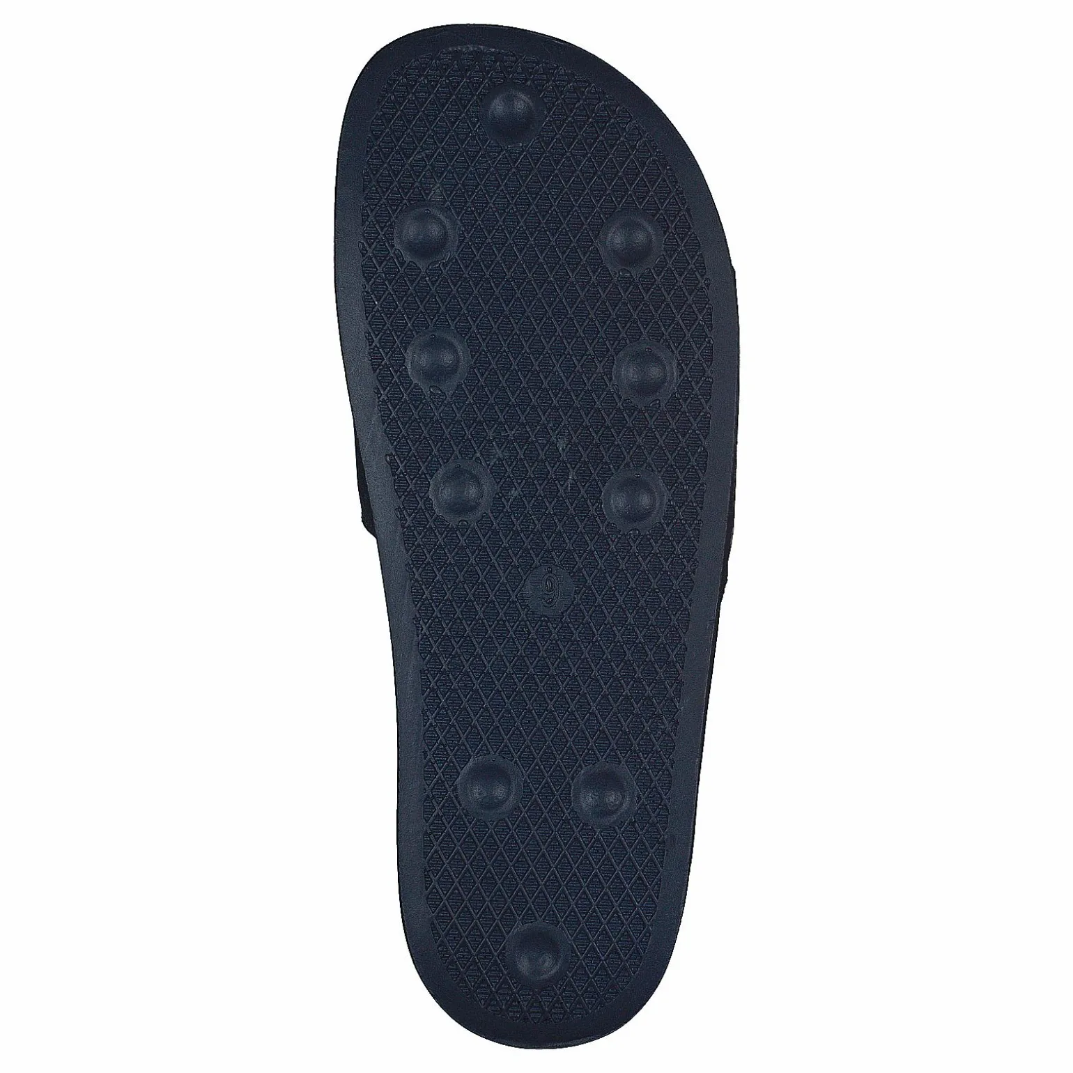 Alex Insect Navy