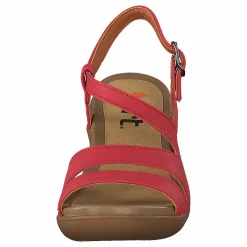 Alfama Red