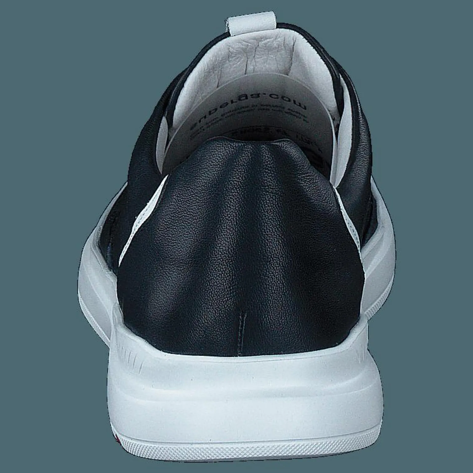 Arrigo Midnight/white