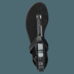 Bay Poppy Black Interest