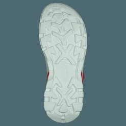 Biom Raft Teaberry