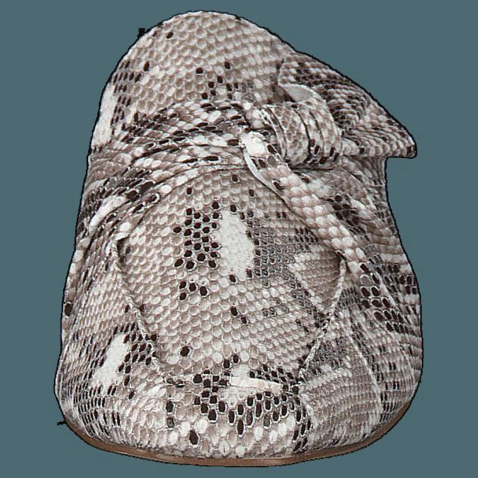 Birke Assymetric Bow Mule 610 - Snake
