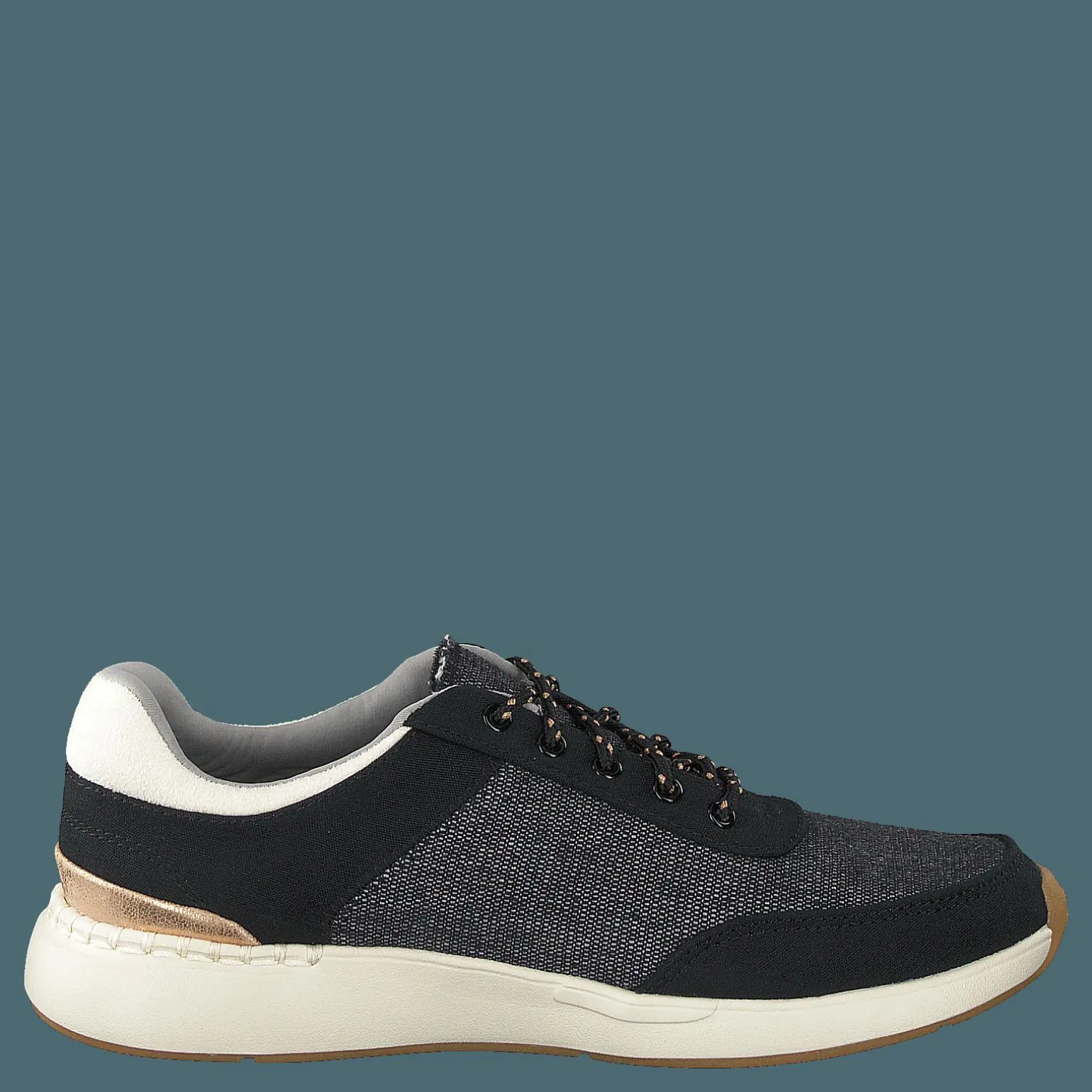 Black Canvas Black