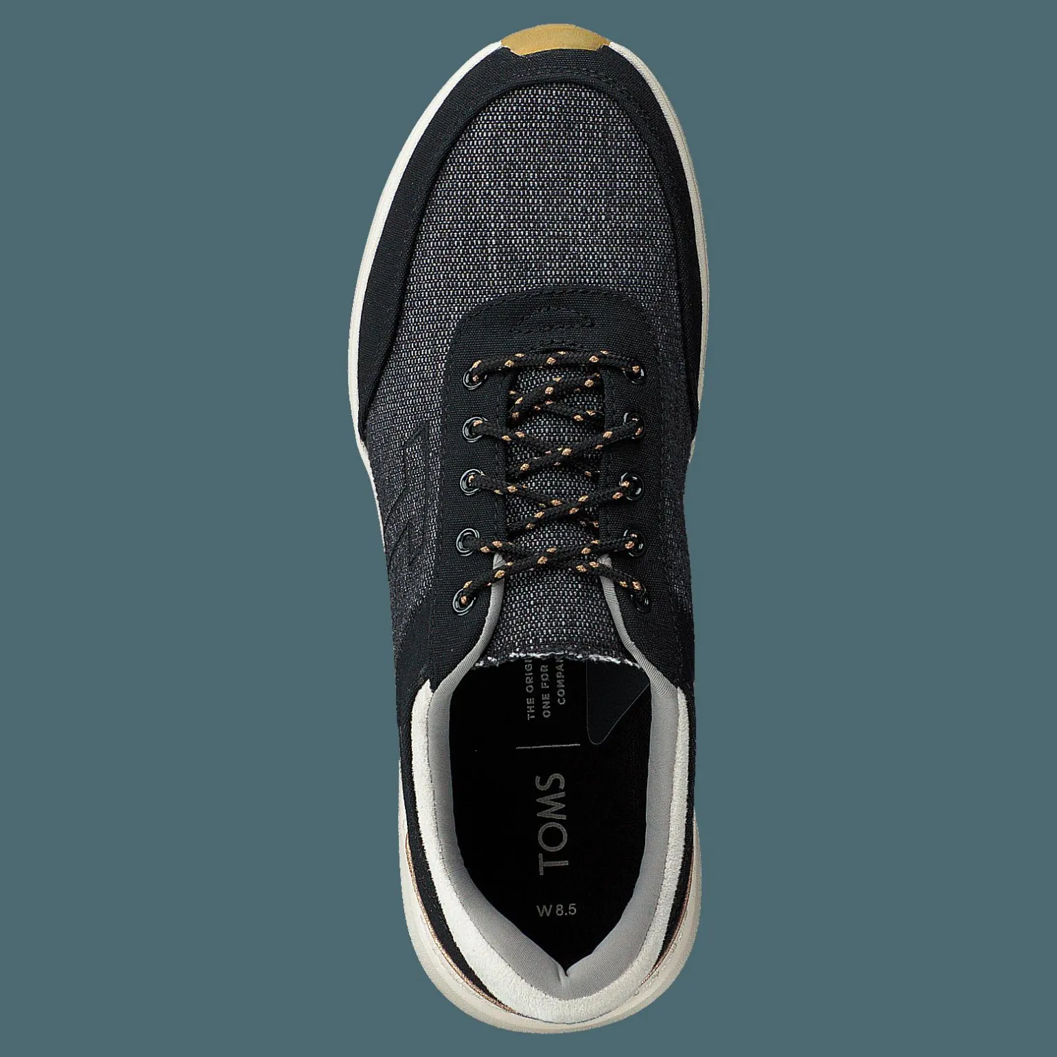 Black Canvas Black