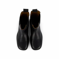 Boliniaria Black