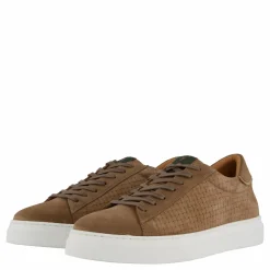 Brian Taupe