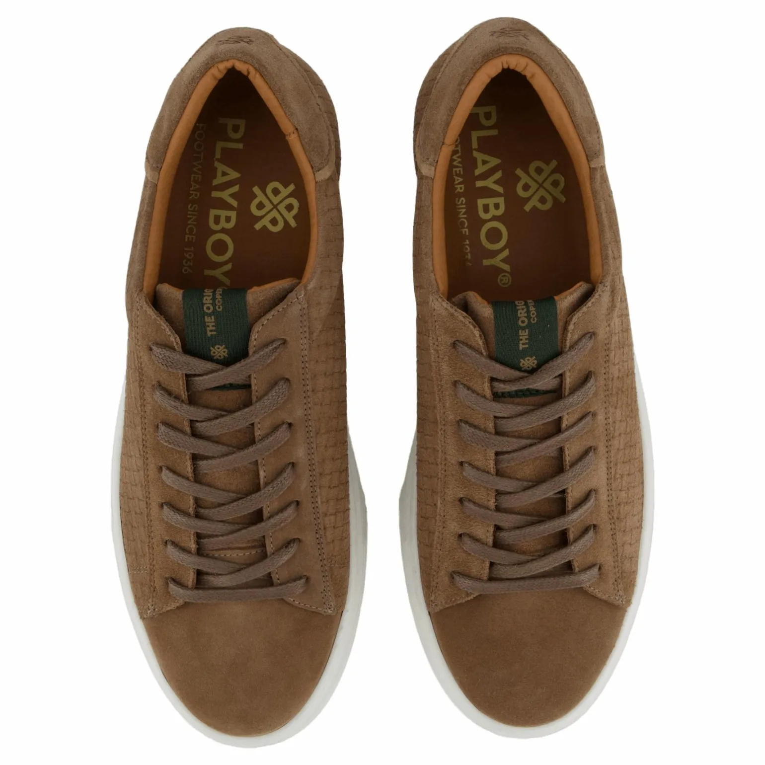 Brian Taupe