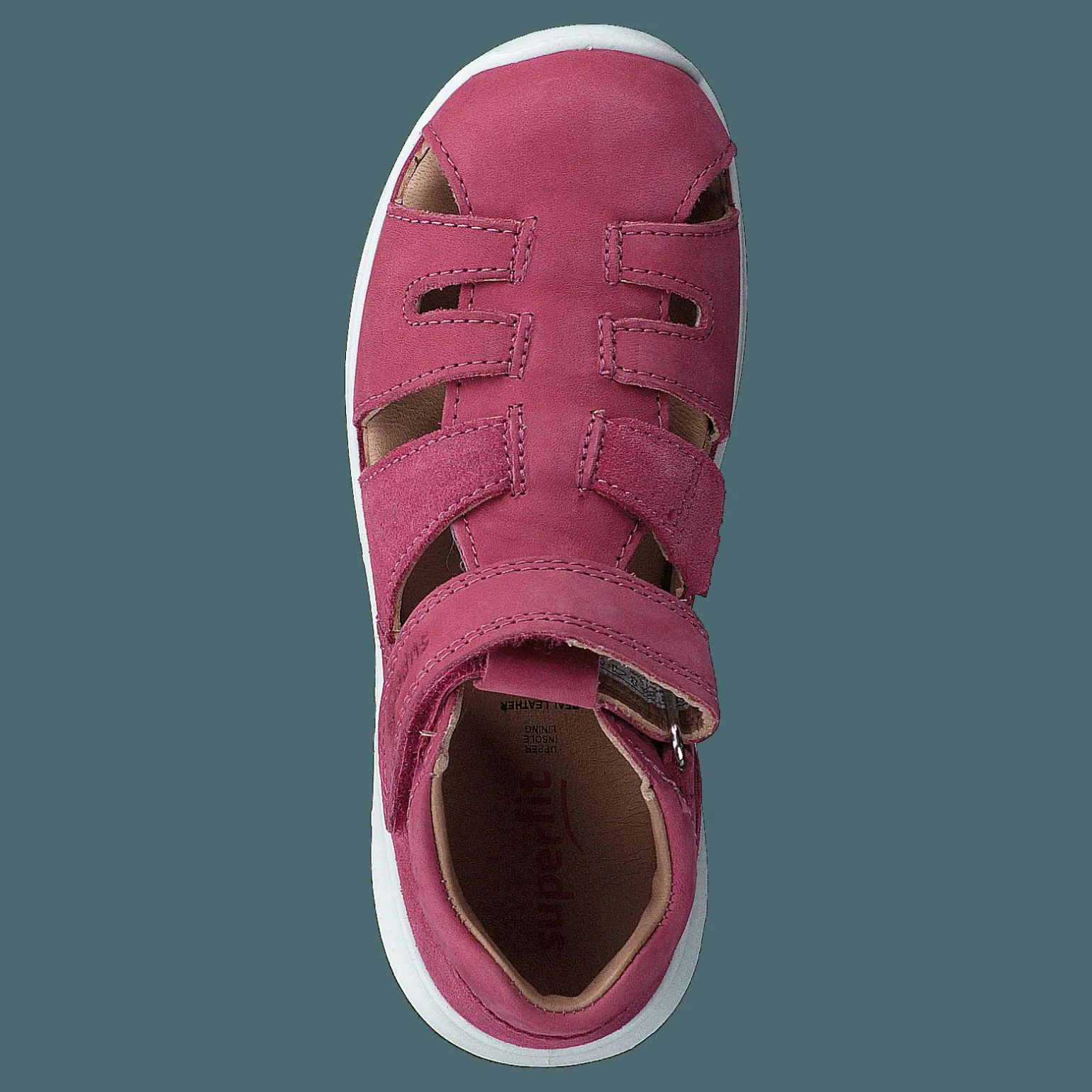 Bumblebee Pink