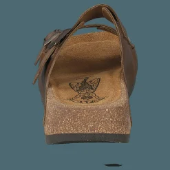 Caja721fly Camel