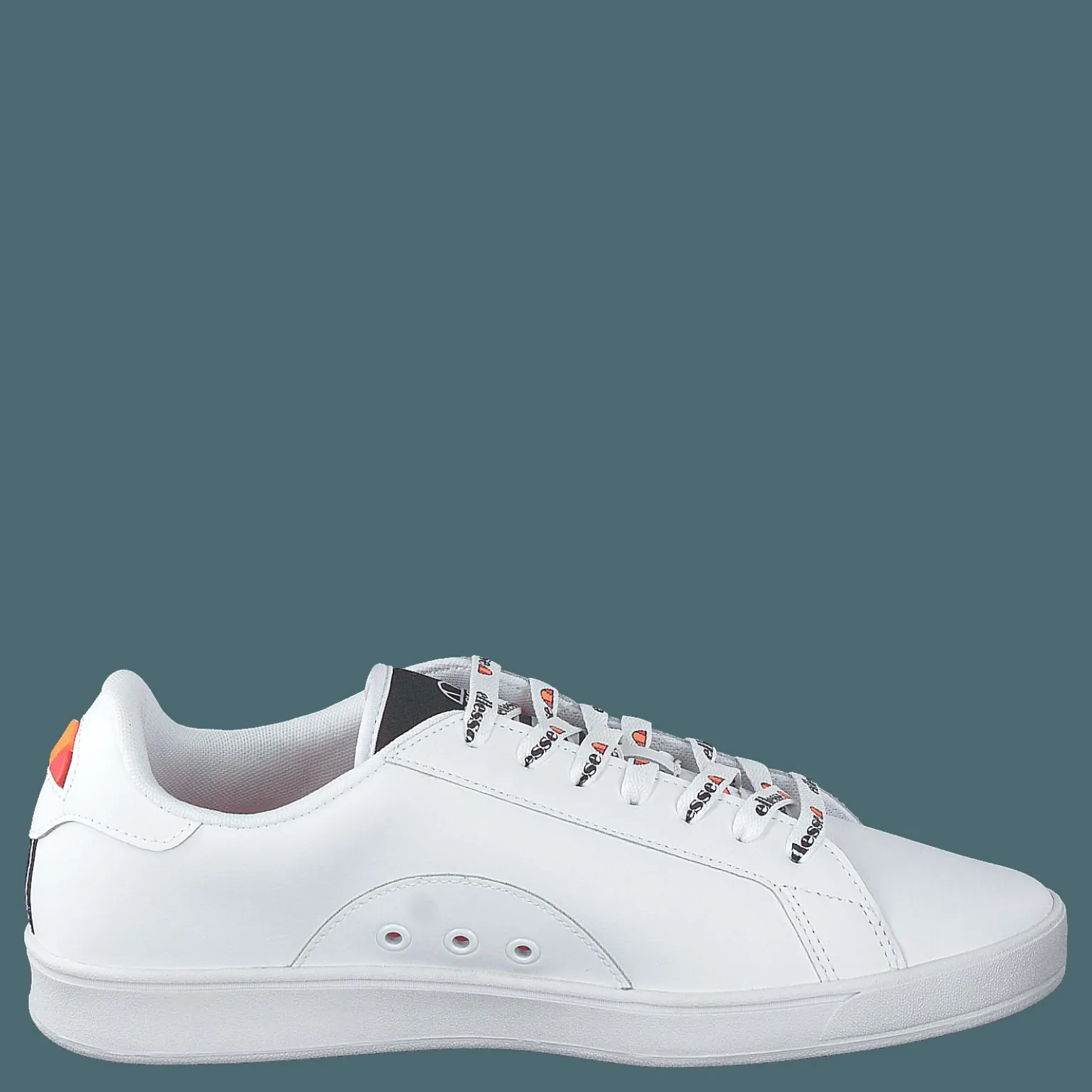 Campo White