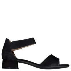 Carla Black Suede