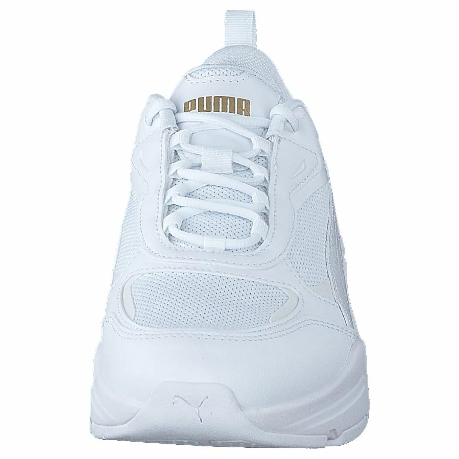 Cassia Puma White-puma White-puma Tea