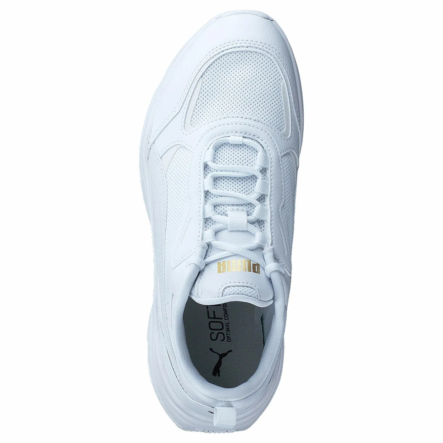 Cassia Puma White-puma White-puma Tea