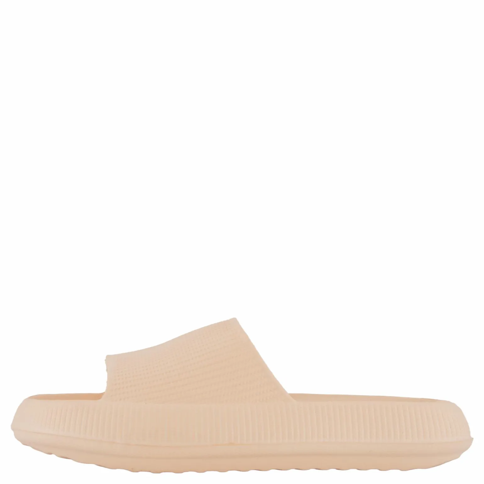 Chunky Slipper Coral