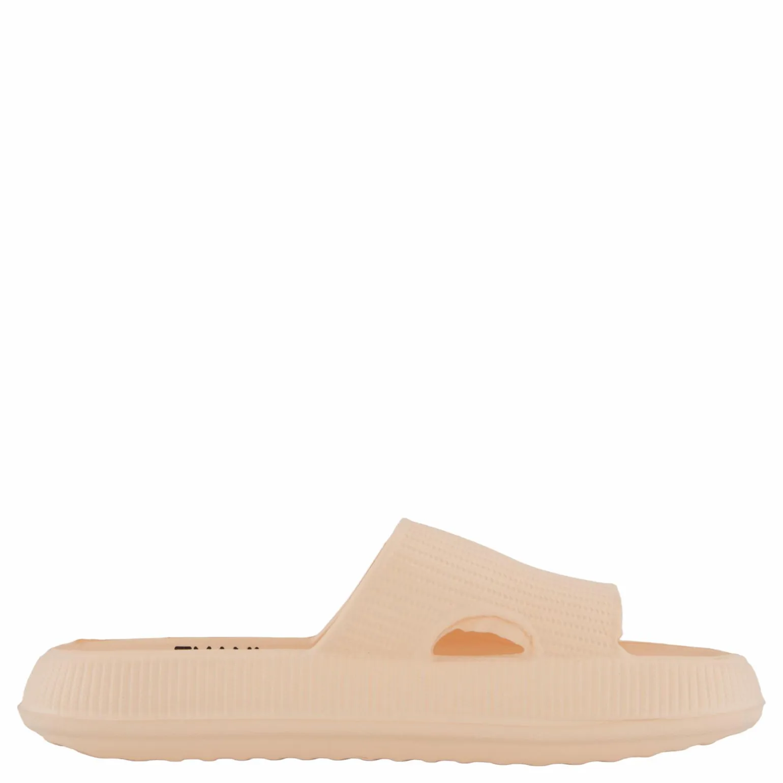 Chunky Slipper Coral