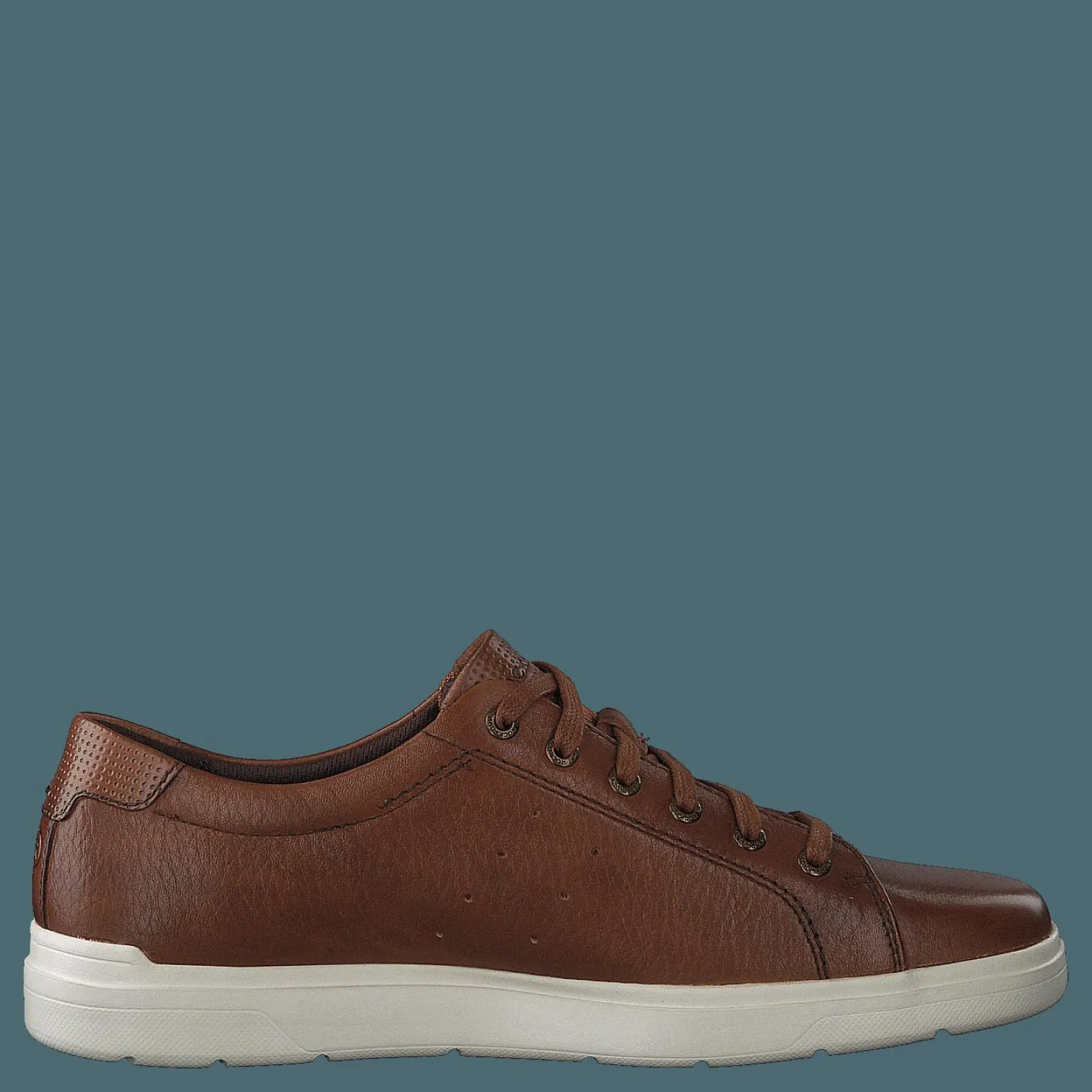 Cognac Toledo Cognac Toledo