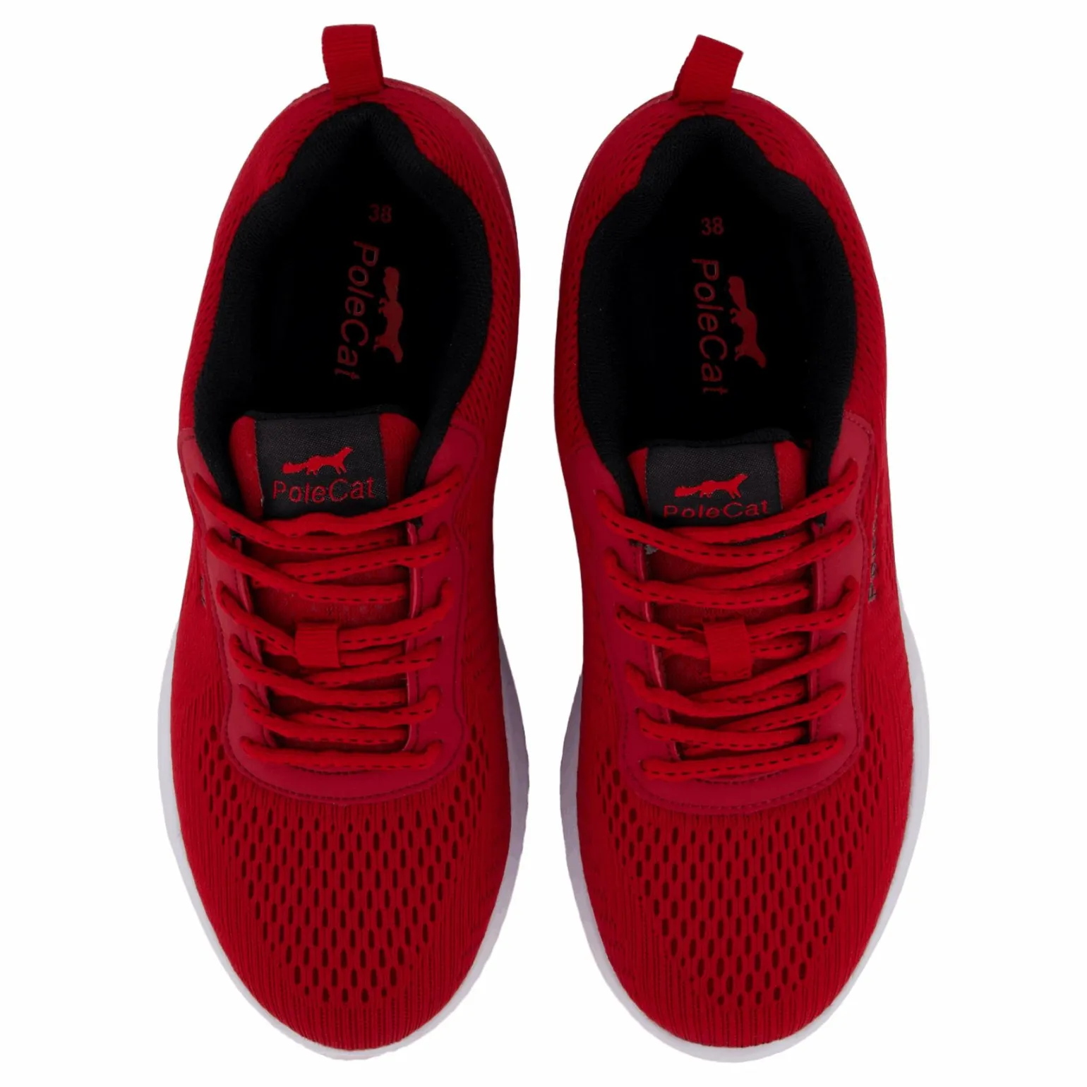 Credo Iowa Red