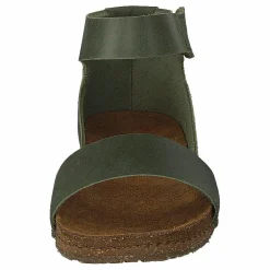 Creta Kaki