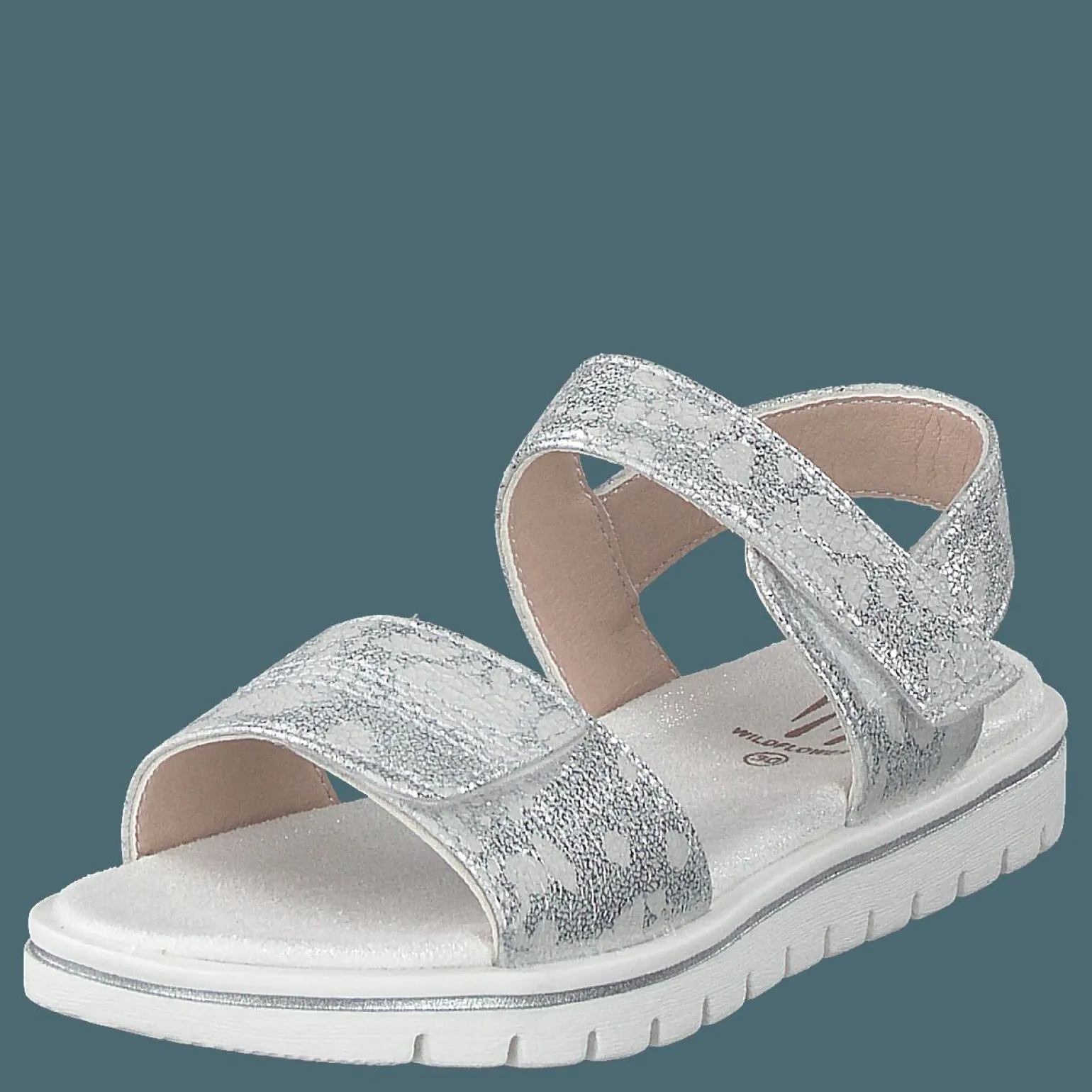Desi Silver