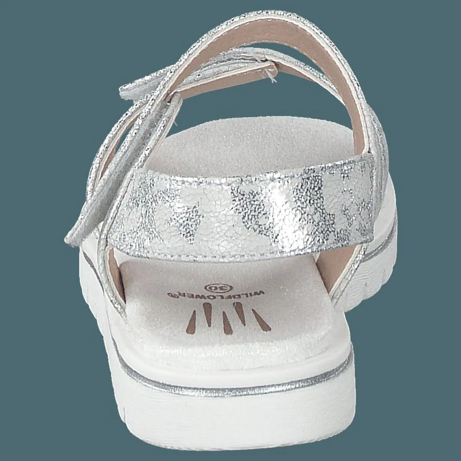 Desi Silver