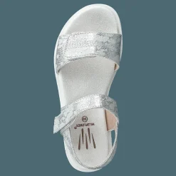 Desi Silver