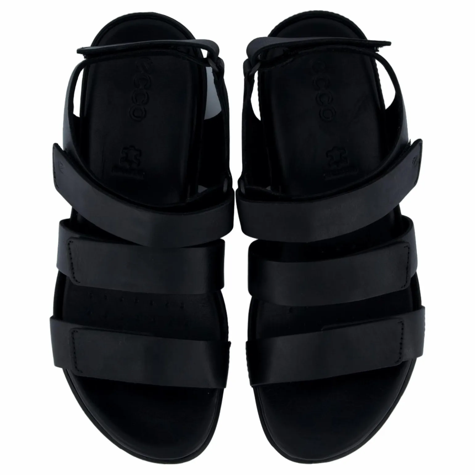 Ecco Flash Black