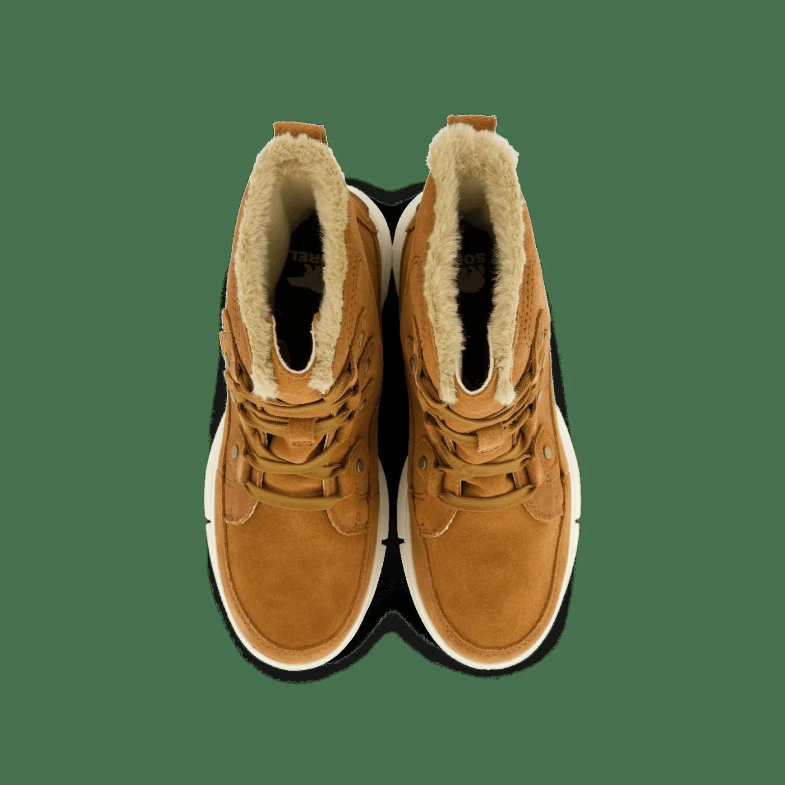 Explorer Next™ Joan Wp Brown