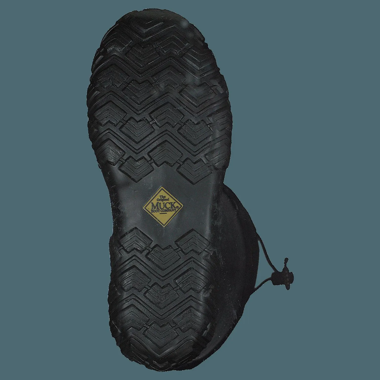 Forager Black