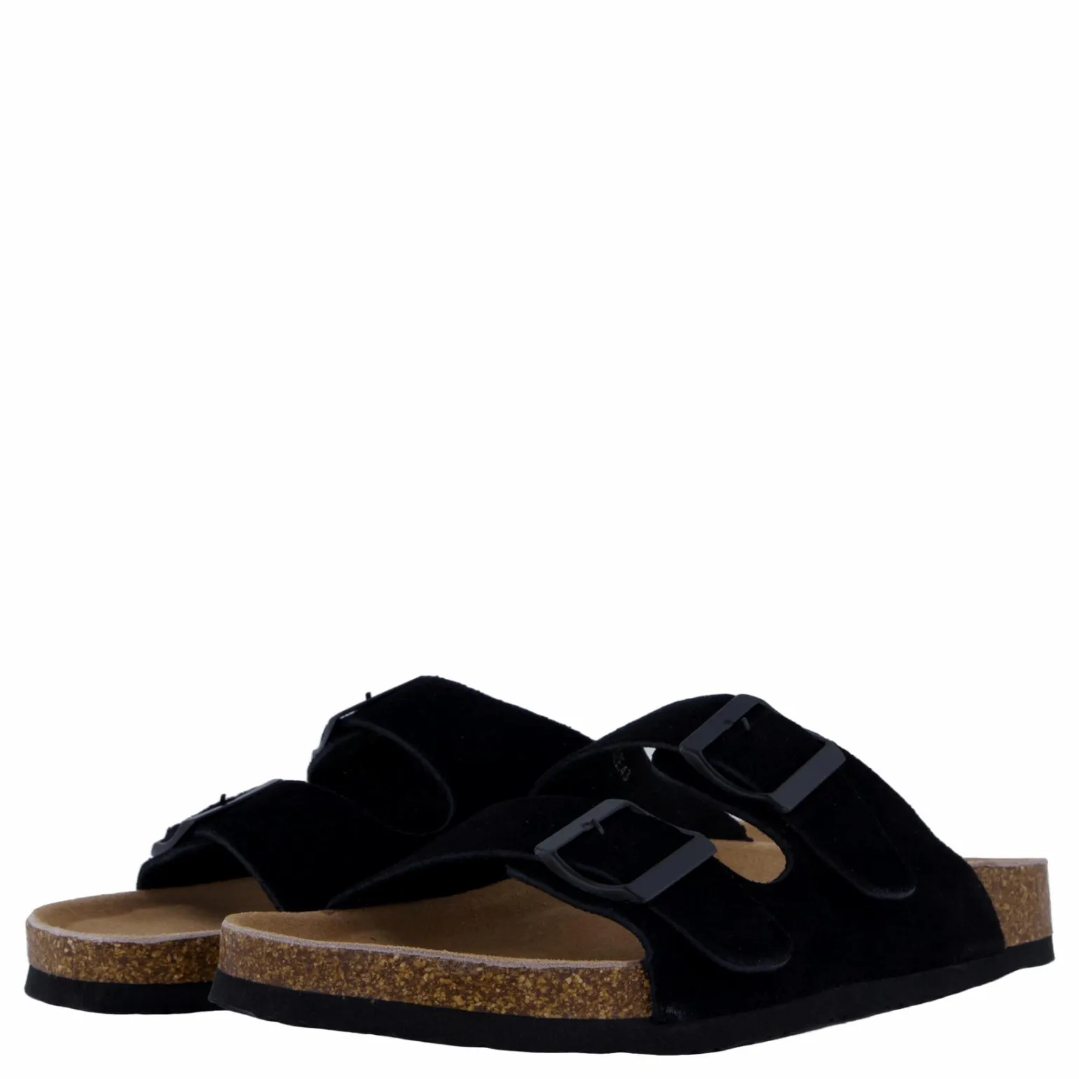Hc.biom56 Bla