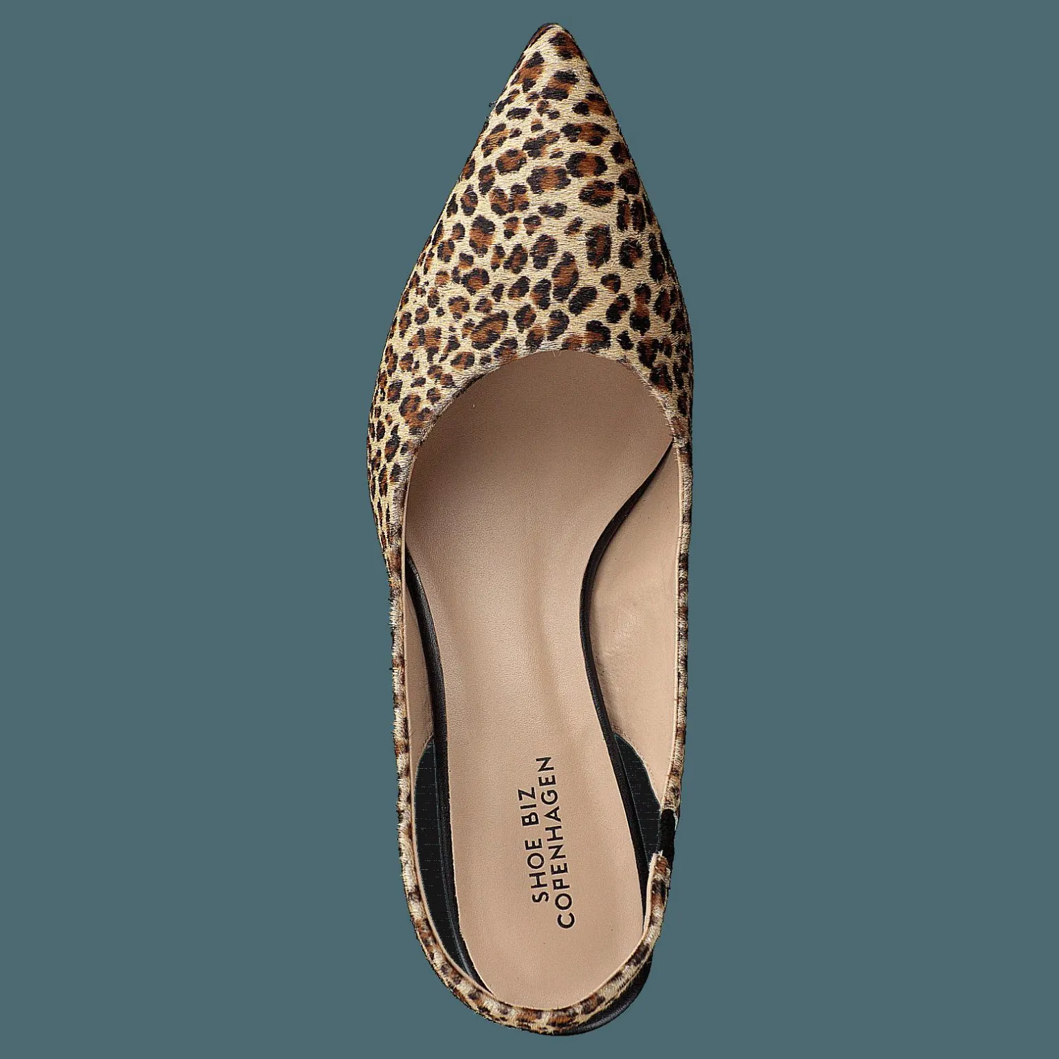 Hekla Leopardo