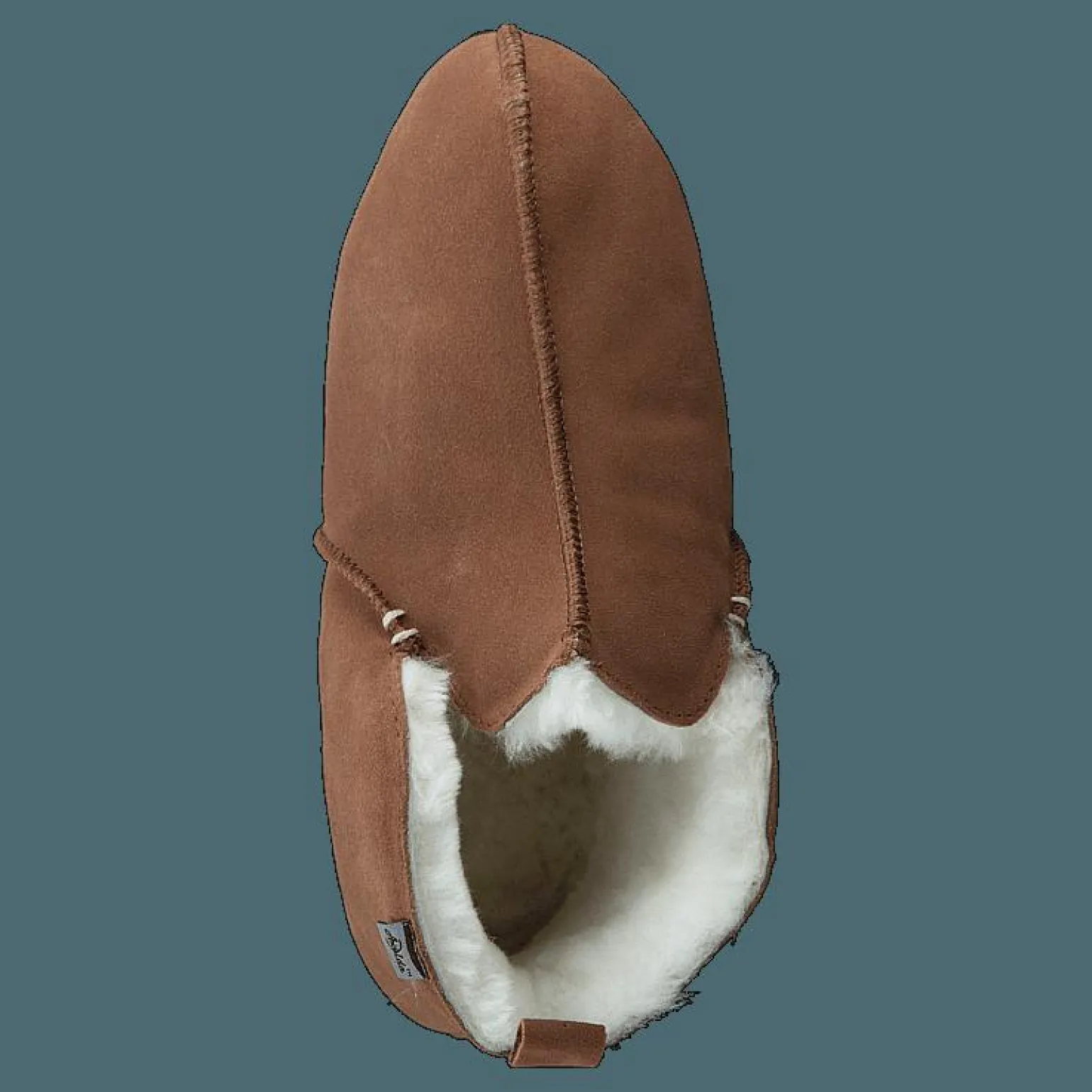 Innsbruck Chestnut