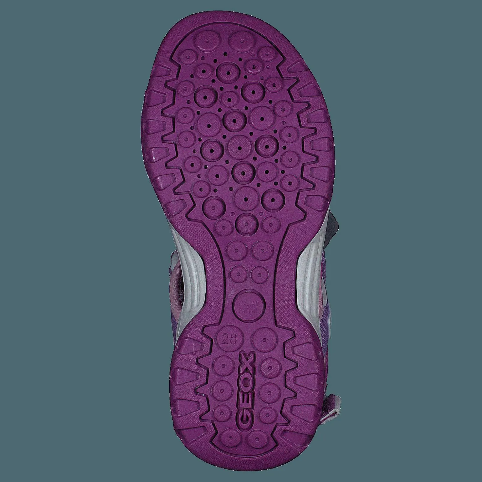 J Borealis G Purple/pink