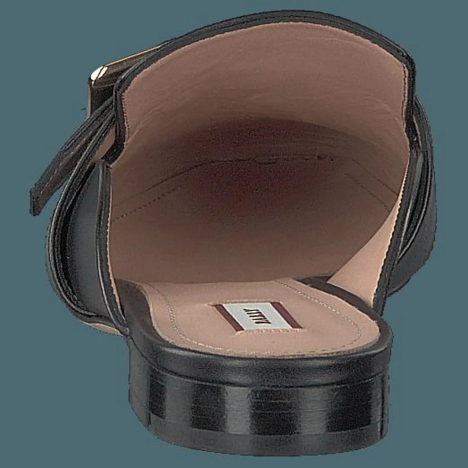Janesse Black