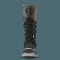 Joan Of Artic Black Quarry