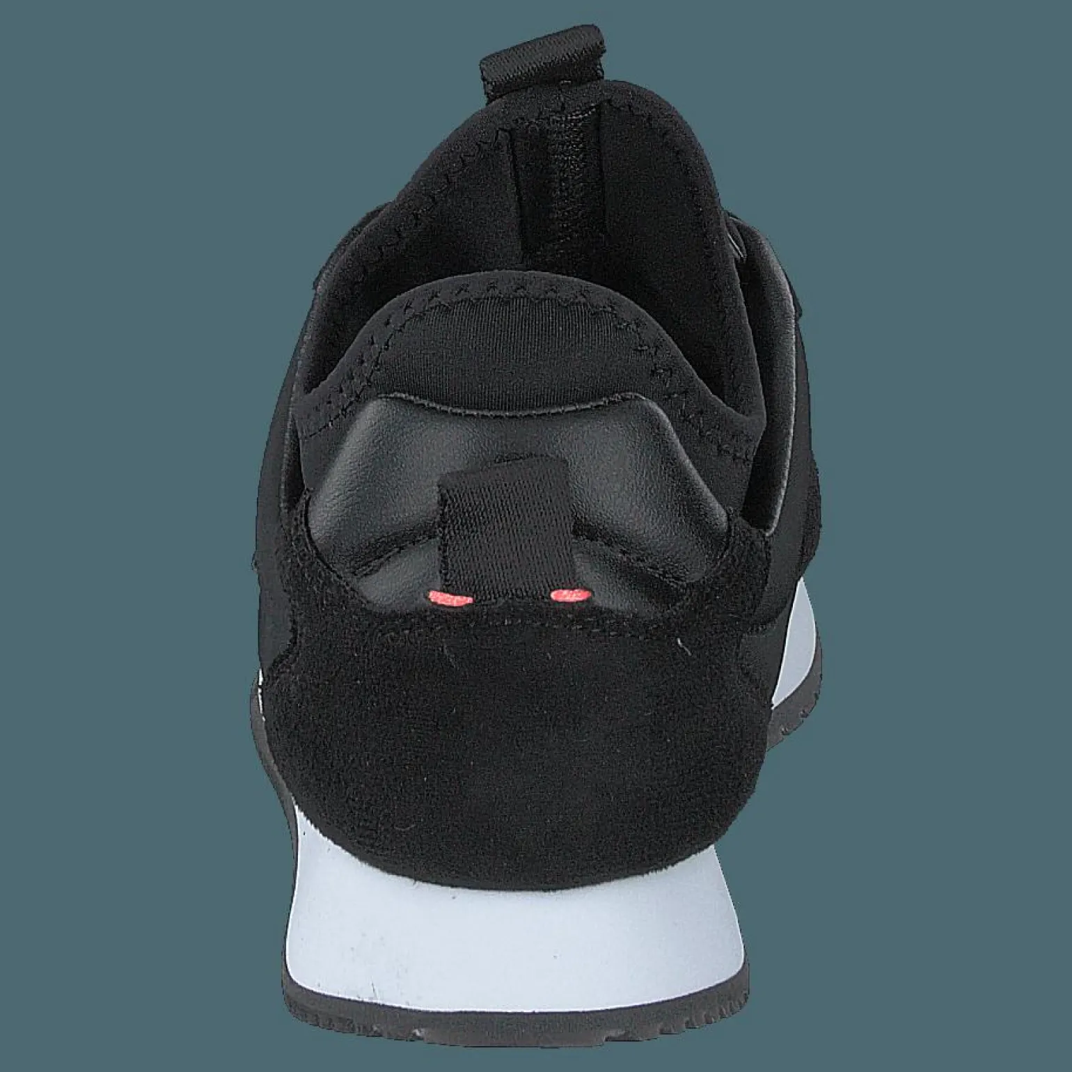 Jodey Black