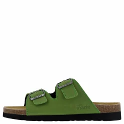 Joline Cedar Green