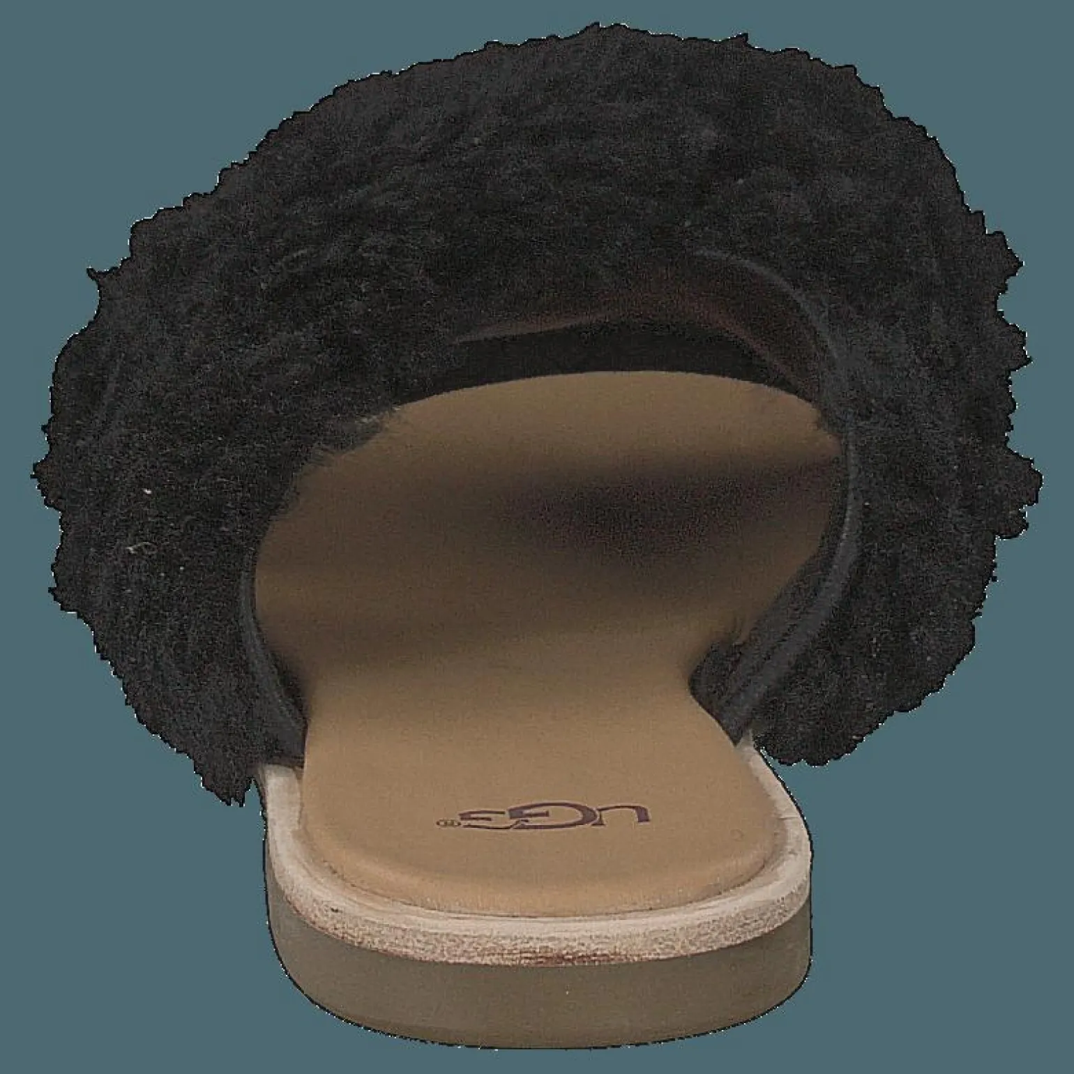 Joni Black