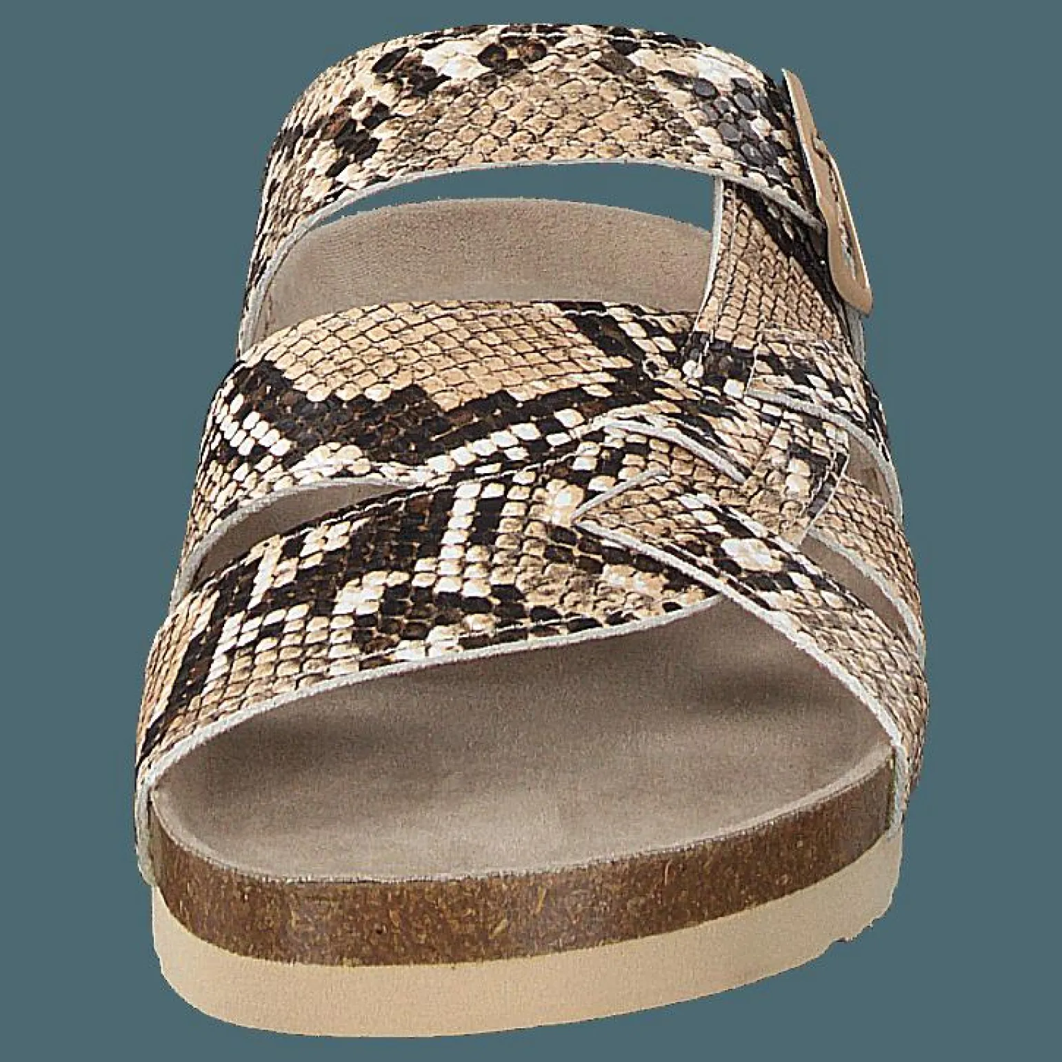 Kelly Beige/snake