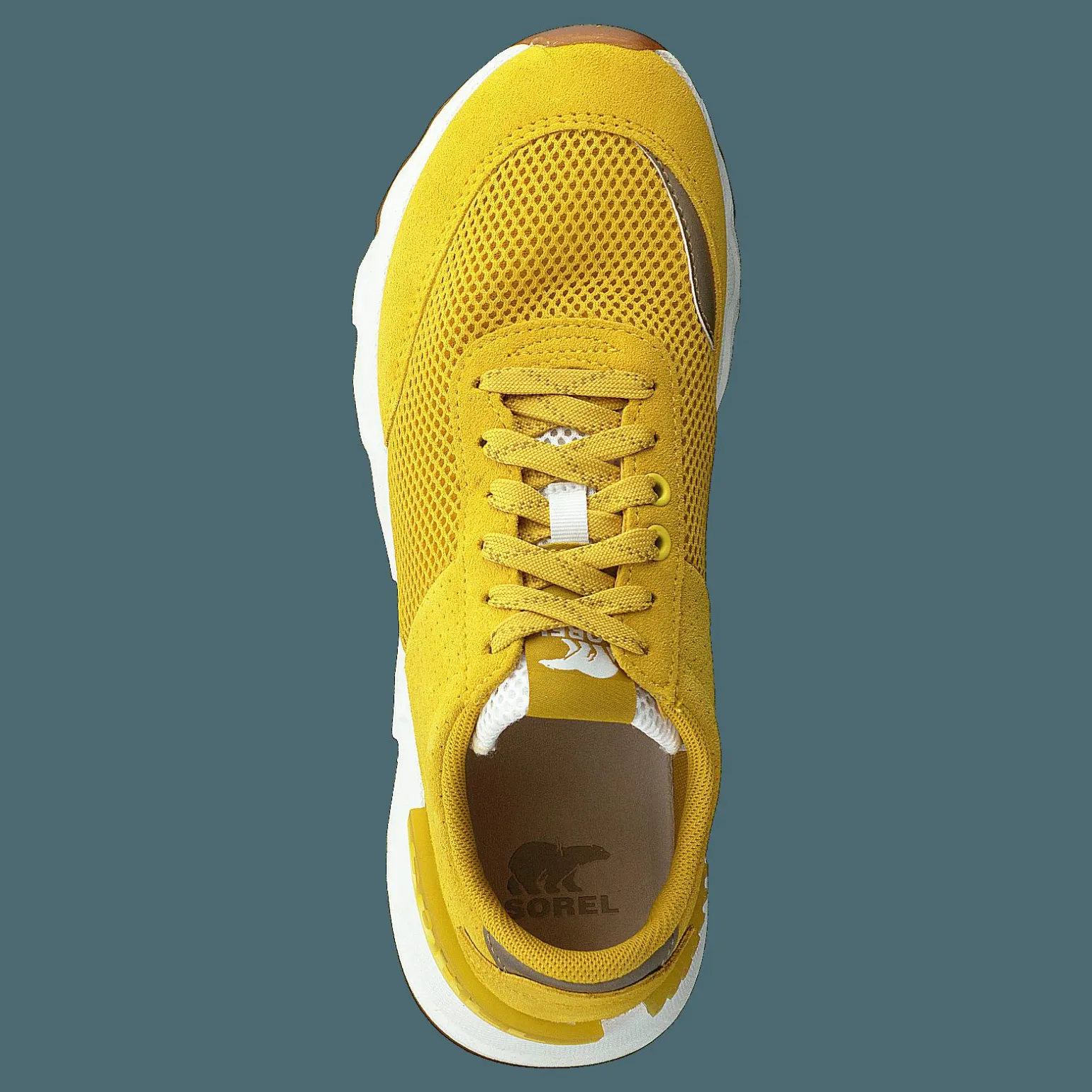 Kinetic Lite Lace Golden Yellow