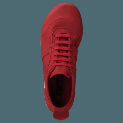 Kioto Coral