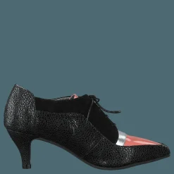 Kitten Black