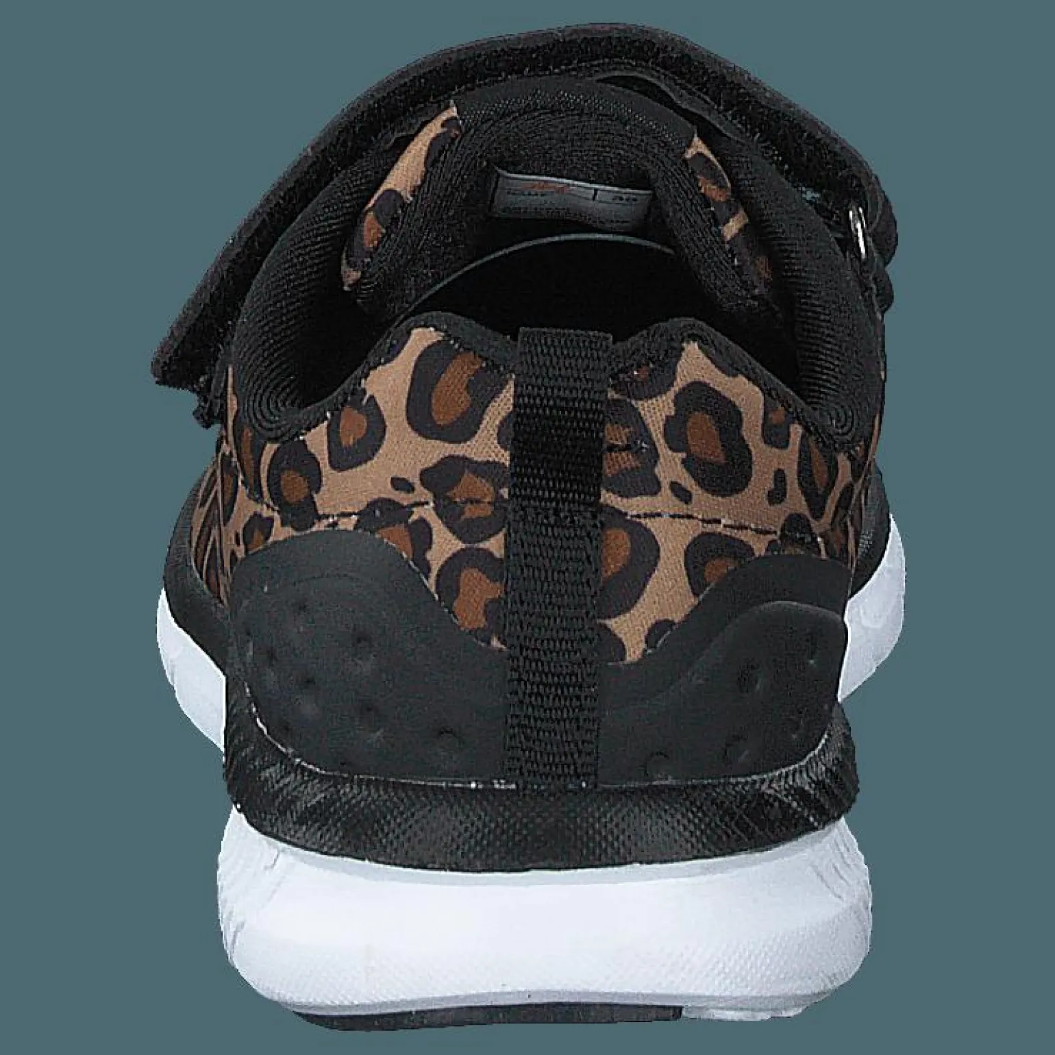 Kolima Leopard