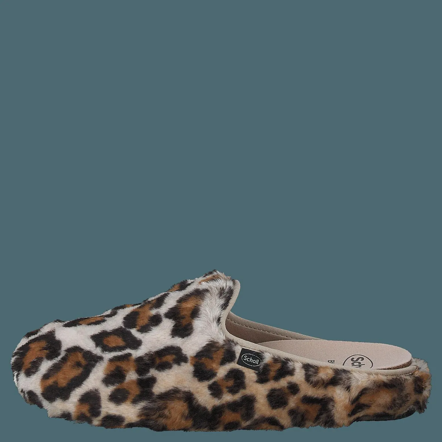 Maddy Leopard