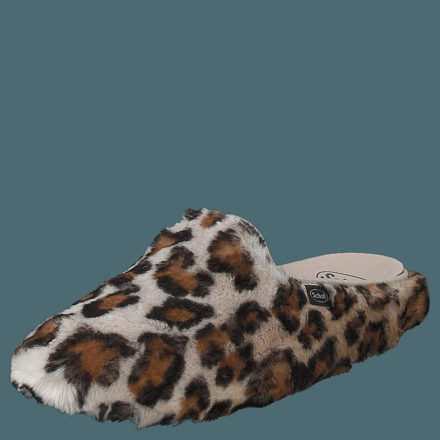 Maddy Leopard