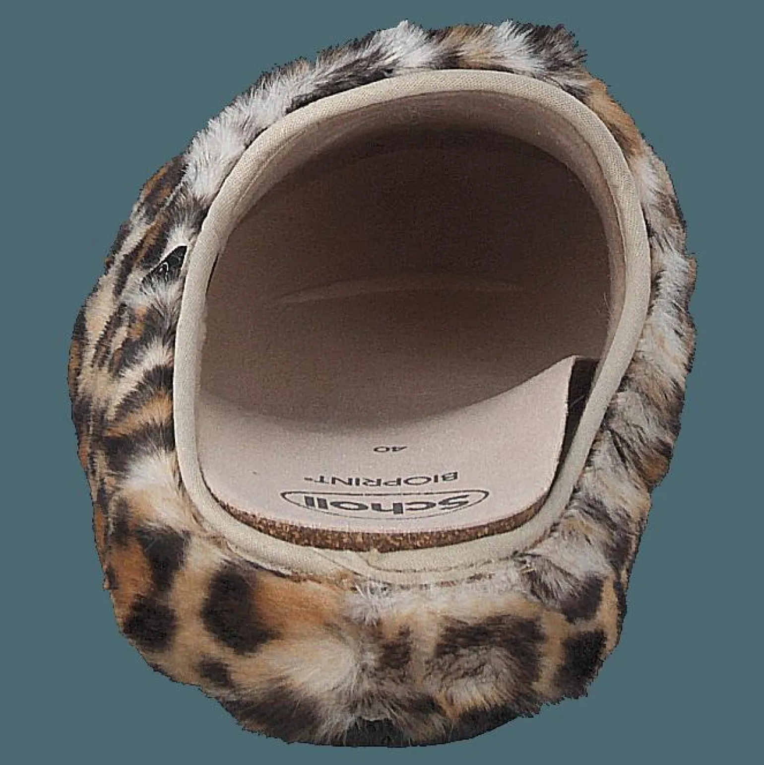 Maddy Leopard